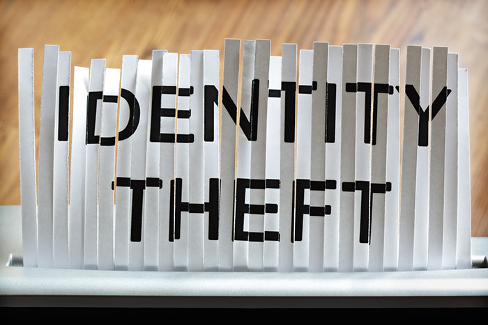 A device is Shredding Papers in Florida and Georgia