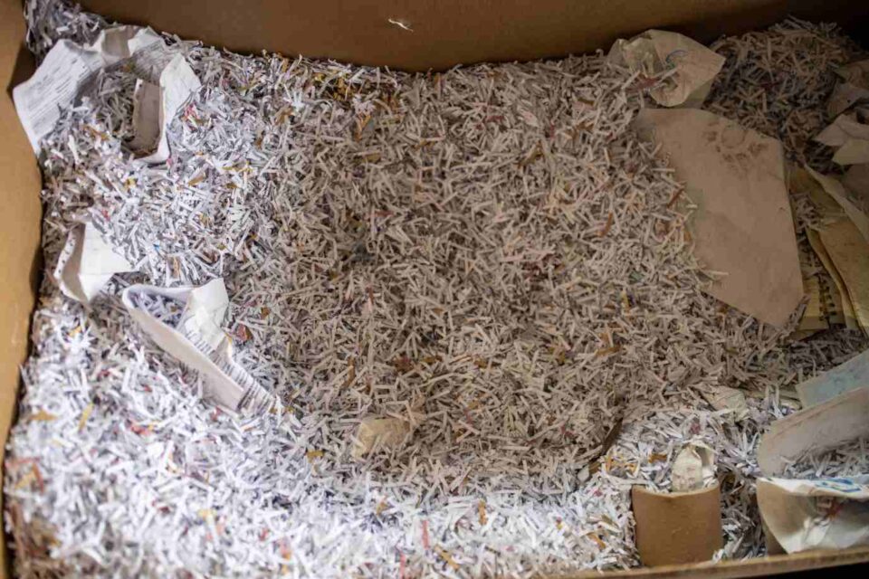 A Box full of Shredded Papers in Florida & Georgia
