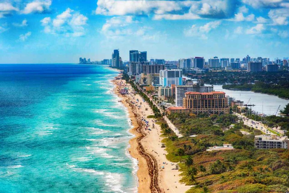A vibrant Miami beach with high-rise buildings, palm trees, and a clear blue sky